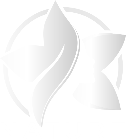 logo2.png